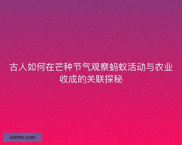 古人如何在芒种节气观察蚂蚁活动与农业收成的关联探秘